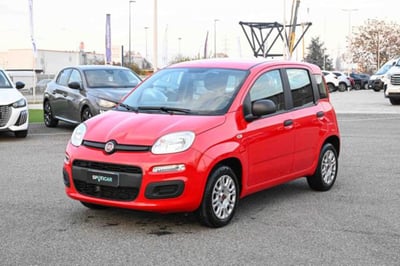 Fiat Panda 1.0 firefly hybrid s&amp;s 70cv 5p.ti del 2020 usata a Pianezza