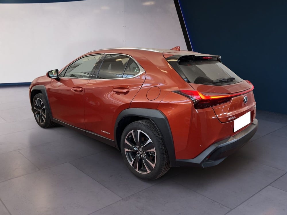 Lexus UX usata a Torino (6)