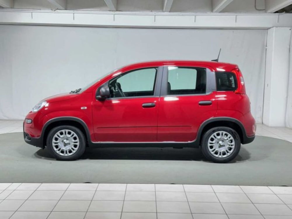 Fiat Panda nuova a Sondrio (2)