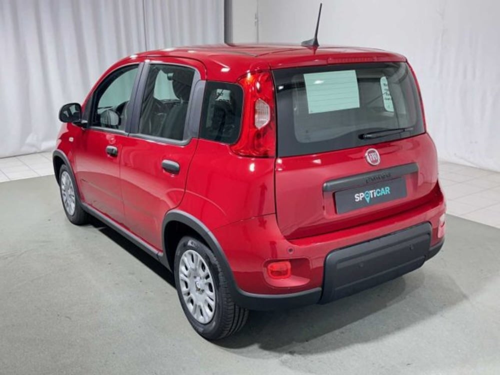 Fiat Panda nuova a Sondrio (3)