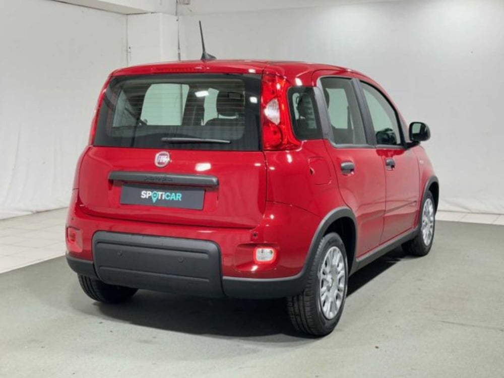 Fiat Panda nuova a Sondrio (5)