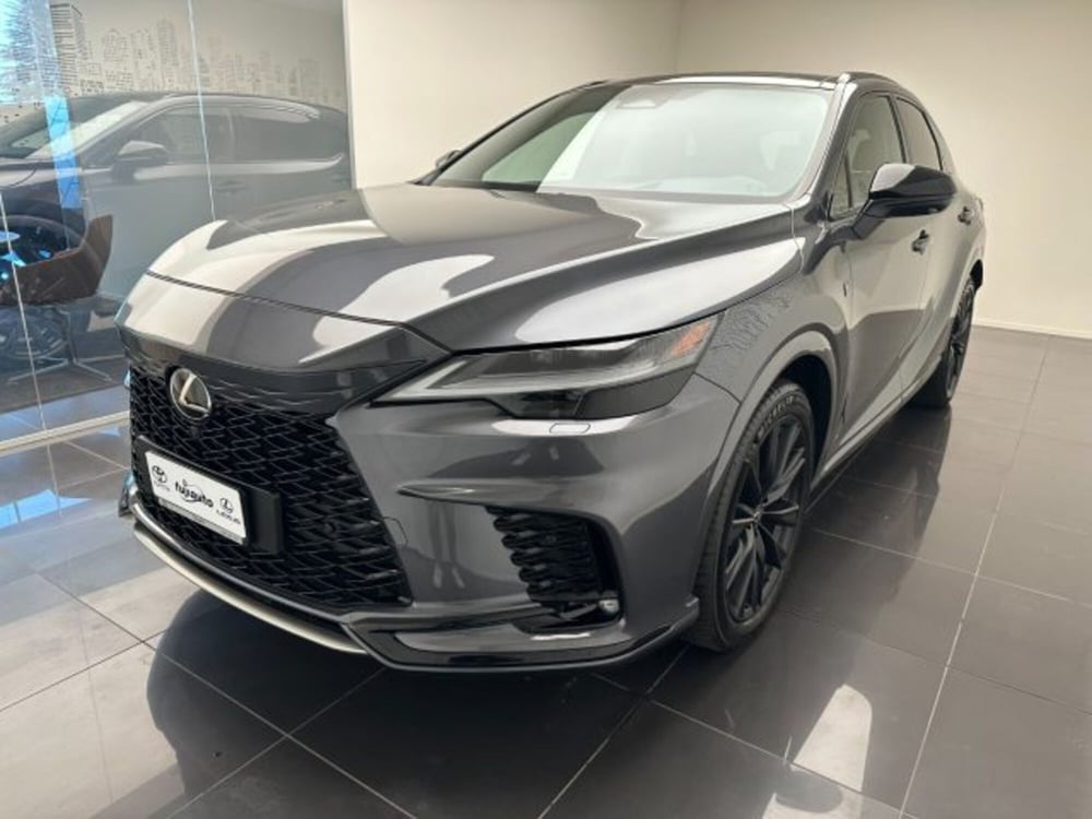 Lexus RX usata a Cuneo