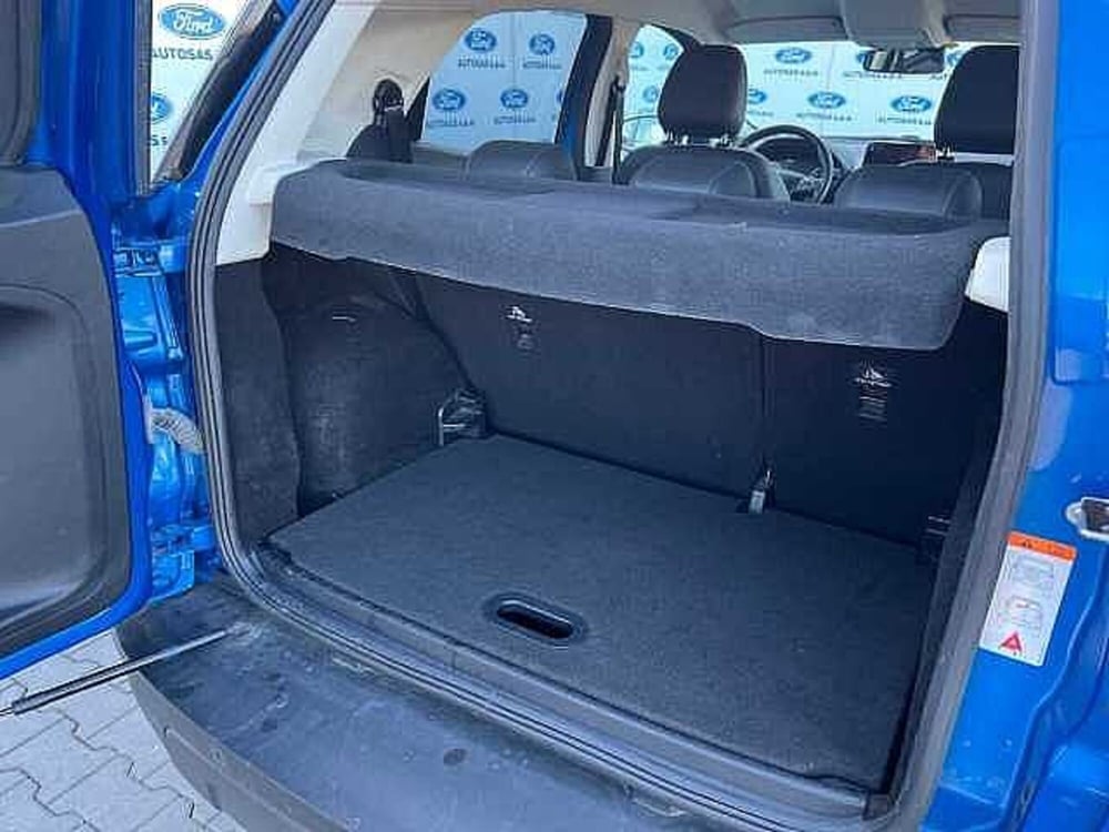 Ford EcoSport usata a Firenze (7)