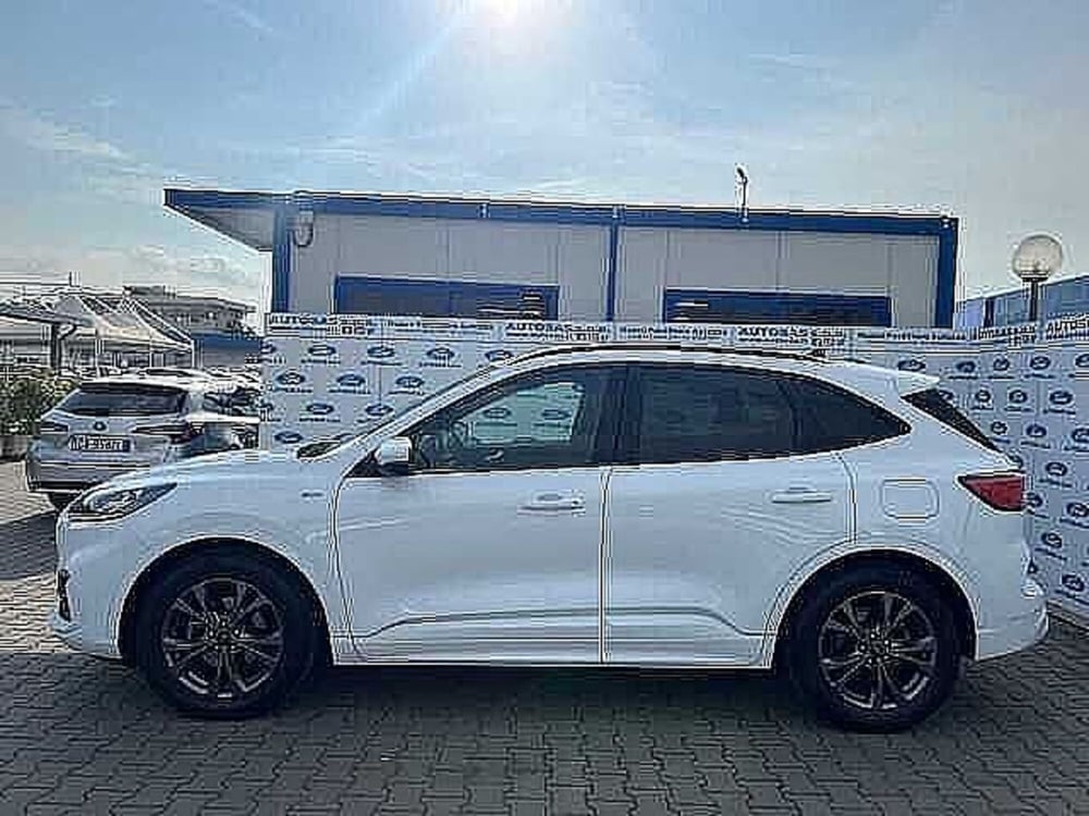 Ford Kuga usata a Firenze (3)