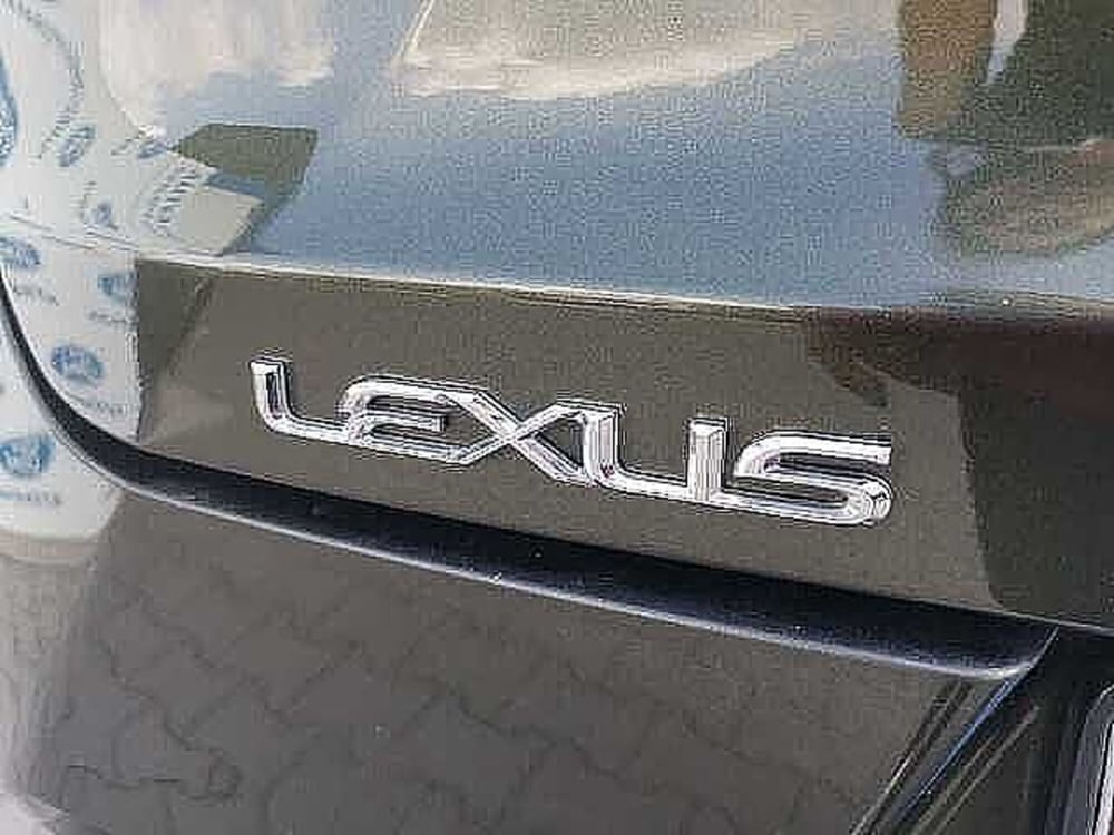 Lexus UX usata a Firenze (18)