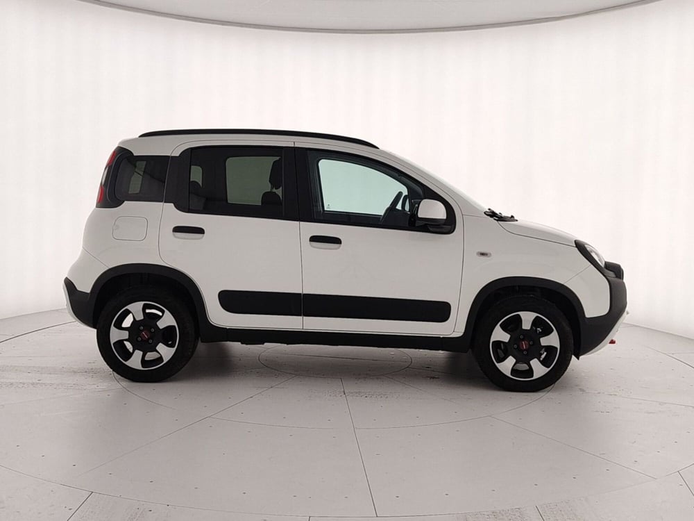 Fiat Panda Cross usata a Caserta (7)