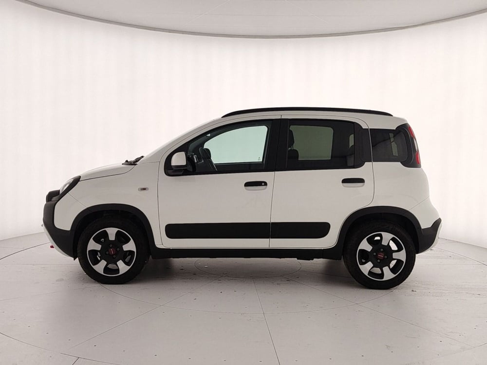 Fiat Panda Cross usata a Caserta (8)