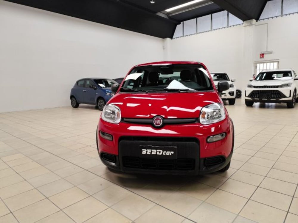 Fiat Panda nuova a Torino (2)