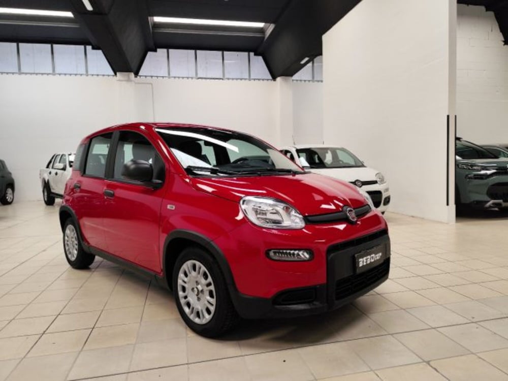 Fiat Panda nuova a Torino (3)