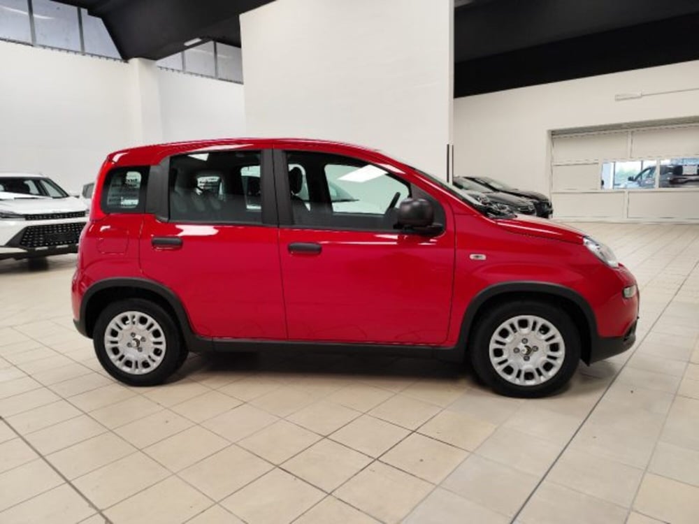 Fiat Panda nuova a Torino (4)