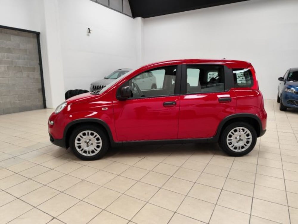 Fiat Panda nuova a Torino (9)