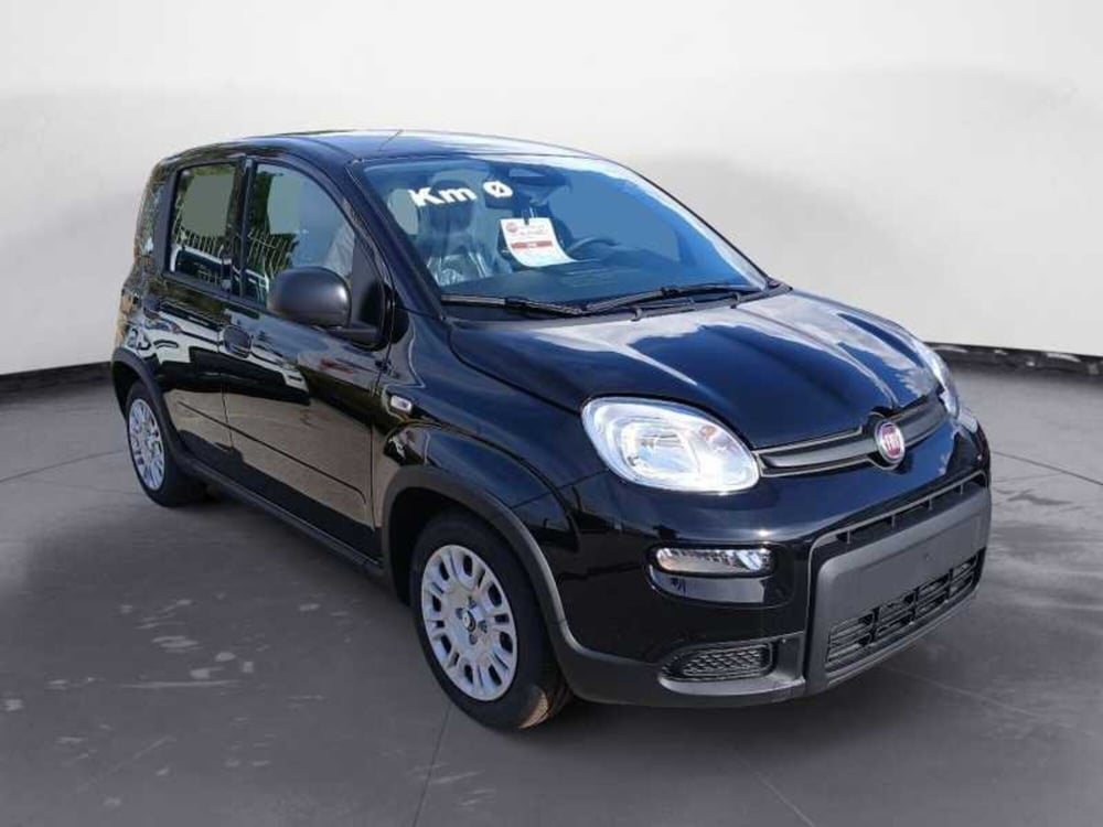 Fiat Panda nuova a Lecce (3)