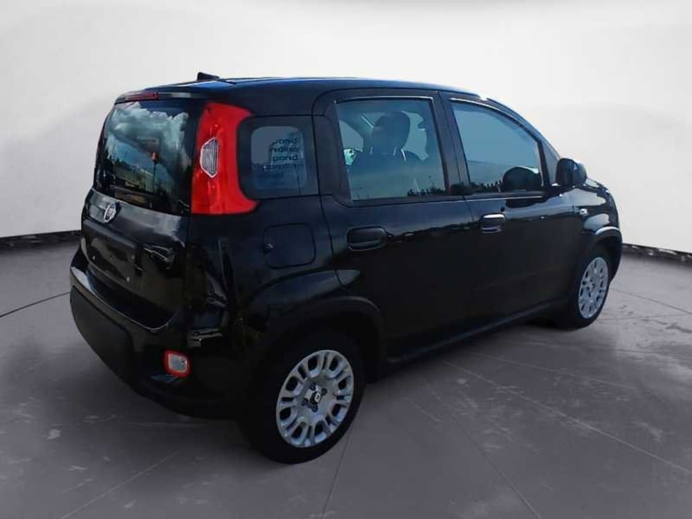 Fiat Panda nuova a Lecce (5)