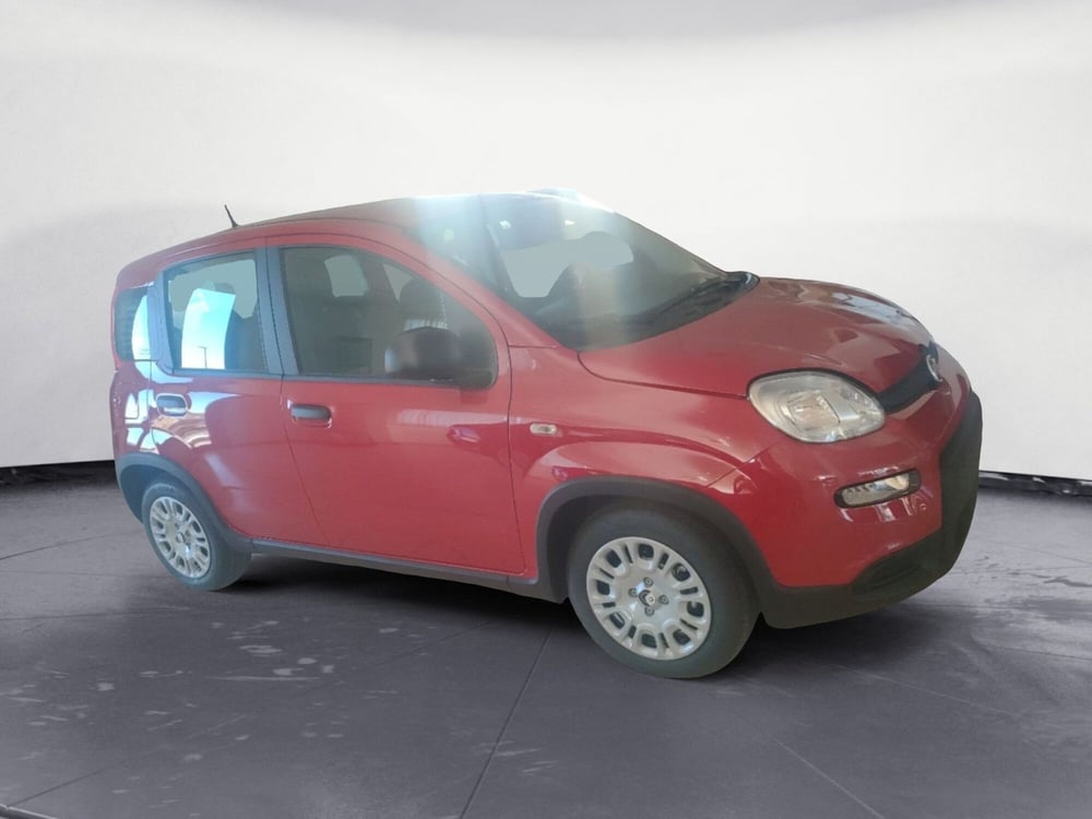 Fiat Panda nuova a Lecce (7)