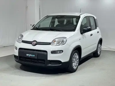 Fiat Panda 1.0 firefly hybrid s&amp;s 70cv nuova a Montagna in Valtellina