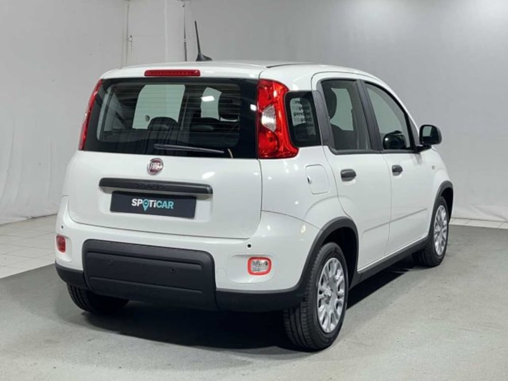 Fiat Panda nuova a Sondrio (5)