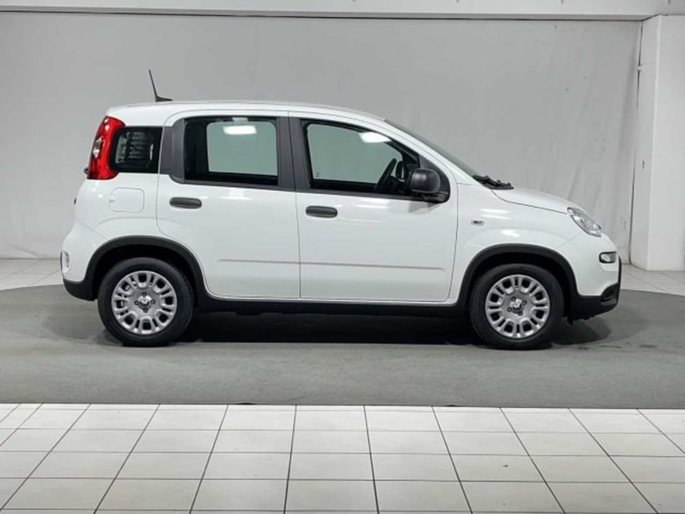 Fiat Panda nuova a Sondrio (6)