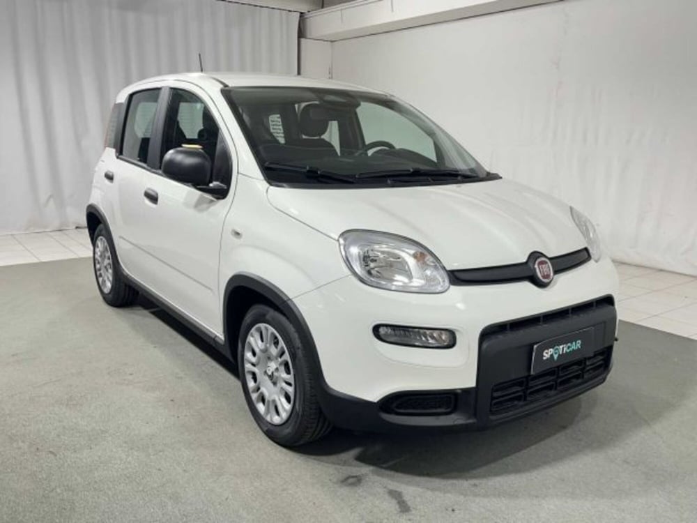 Fiat Panda nuova a Sondrio (7)