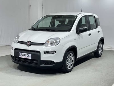 Fiat Panda 1.0 firefly hybrid s&amp;s 70cv 5p.ti nuova a Caspoggio