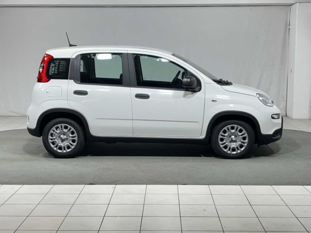 Fiat Panda nuova a Sondrio (6)