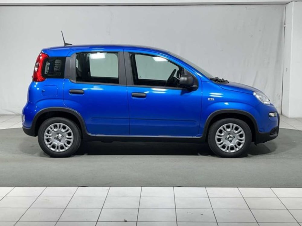 Fiat Panda nuova a Sondrio (6)