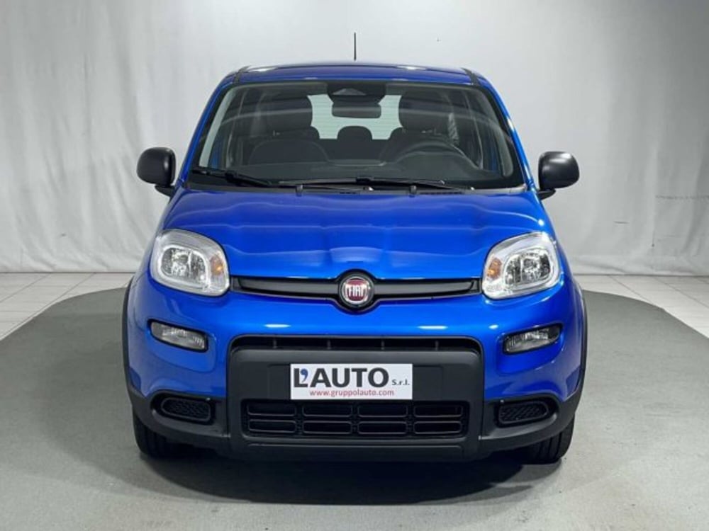 Fiat Panda nuova a Sondrio (8)