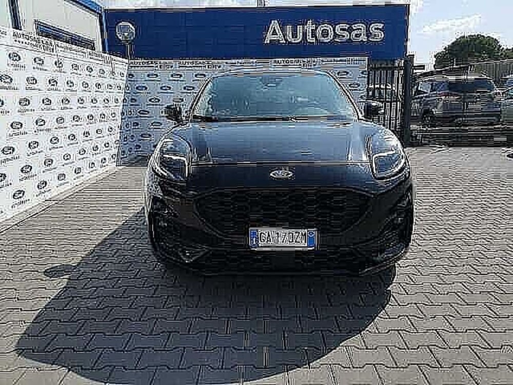 Ford Puma usata a Firenze (4)