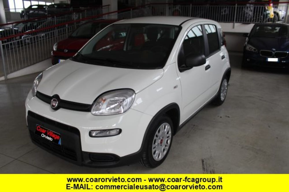 Fiat Panda usata a Terni