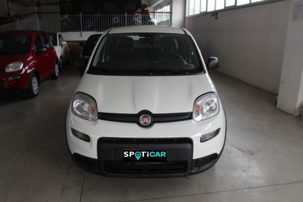 Fiat Panda usata a Terni (2)