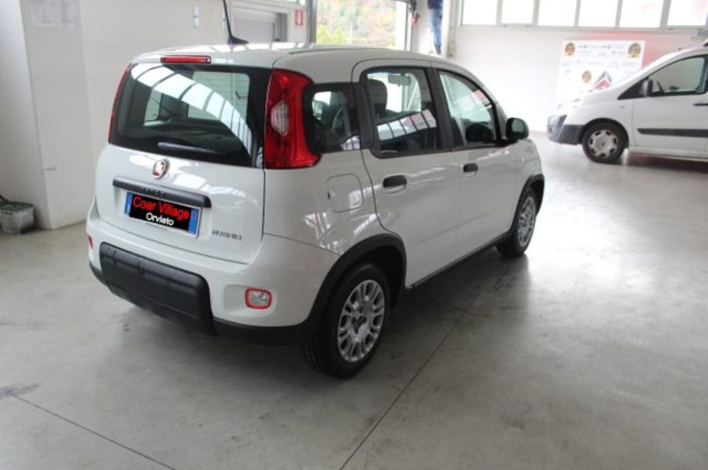 Fiat Panda usata a Terni (4)