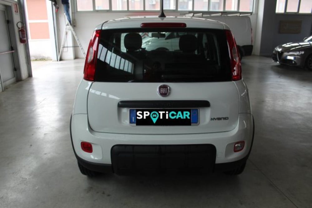 Fiat Panda usata a Terni (5)