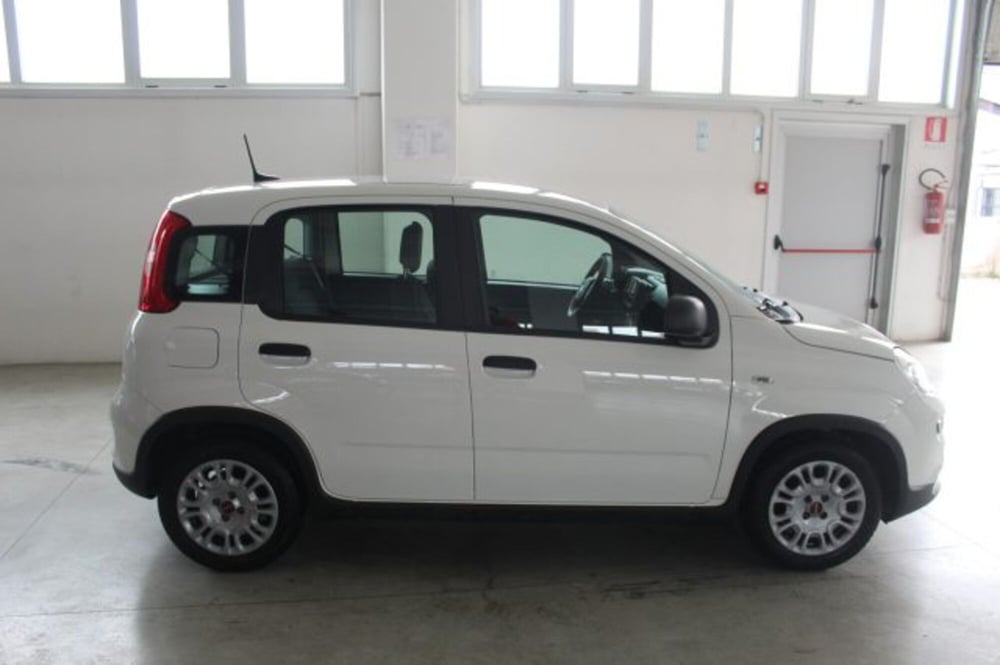 Fiat Panda usata a Terni (6)