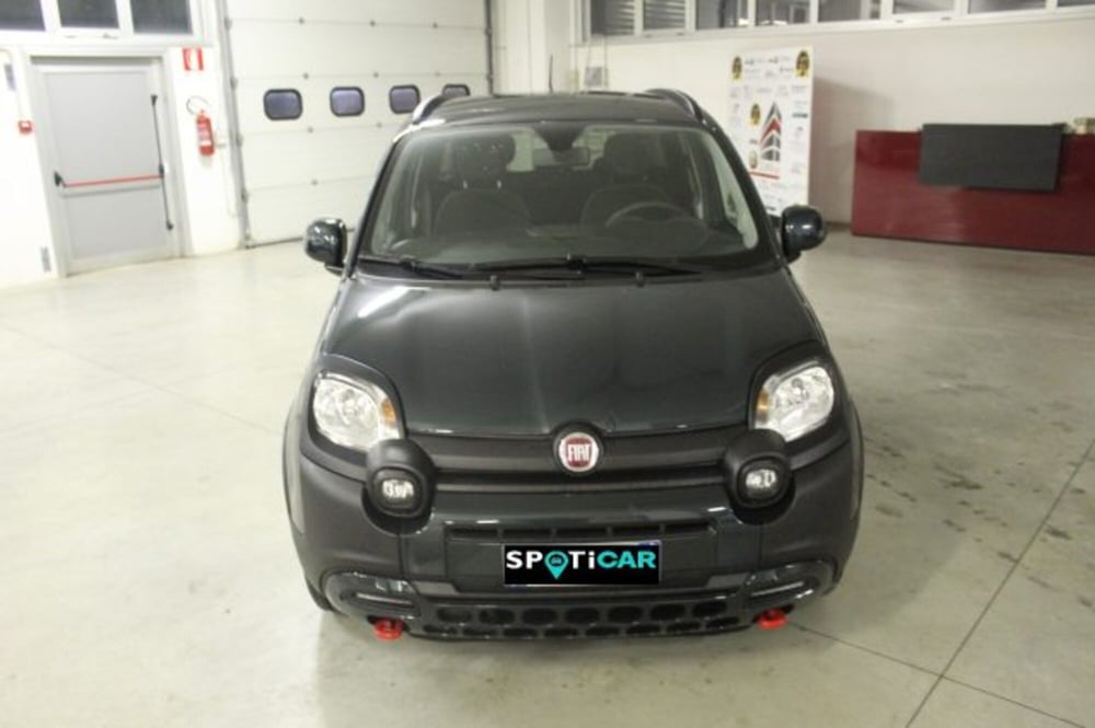 Fiat Panda Cross usata a Terni (2)