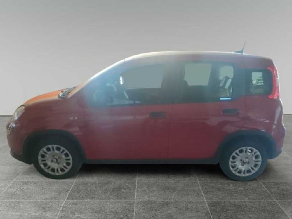 Fiat Panda nuova a Lecce (12)