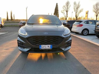 Ford Kuga 2.5 Plug In Hybrid 225 CV CVT 2WD ST-Line  del 2021 usata a Massarosa