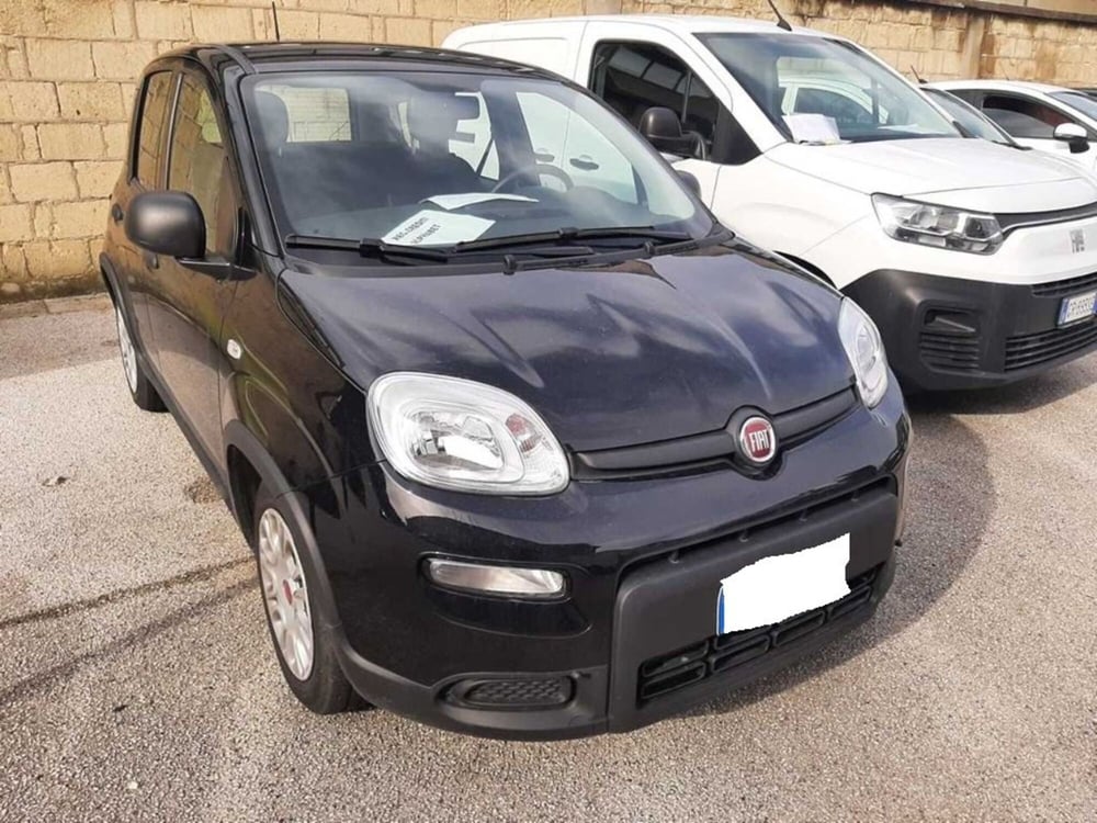 Fiat Panda usata a Arezzo