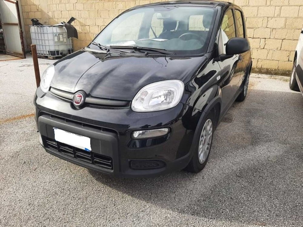 Fiat Panda usata a Arezzo (3)