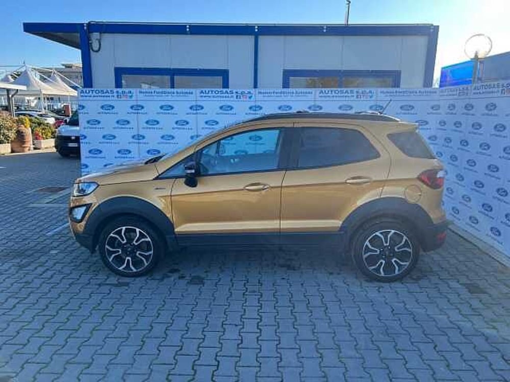 Ford EcoSport usata a Firenze (4)