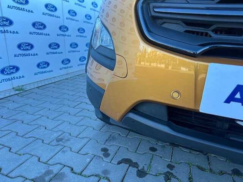 Ford EcoSport usata a Firenze (8)