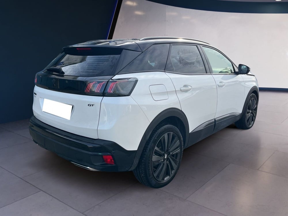 Peugeot 3008 usata a Torino (6)