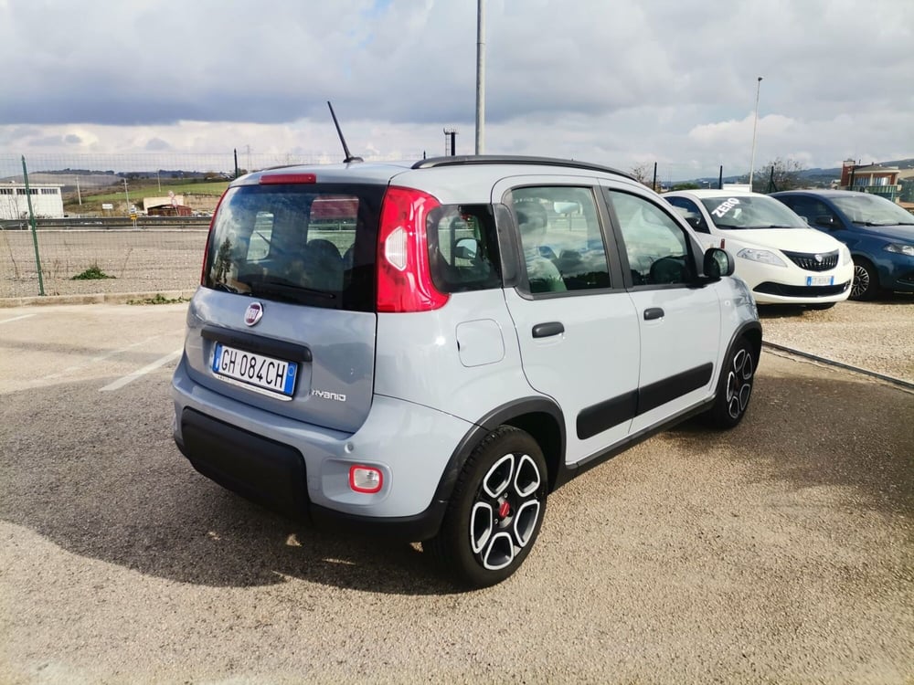 Fiat Panda usata a Matera (5)