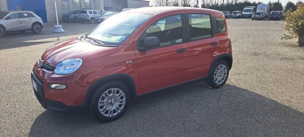 Fiat Panda nuova a Varese (15)