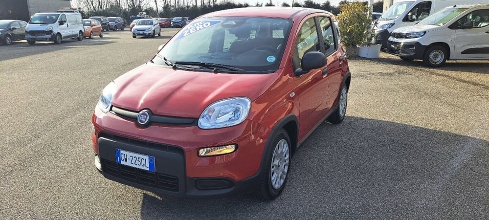 Fiat Panda nuova a Varese (4)