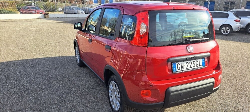 Fiat Panda nuova a Varese (9)