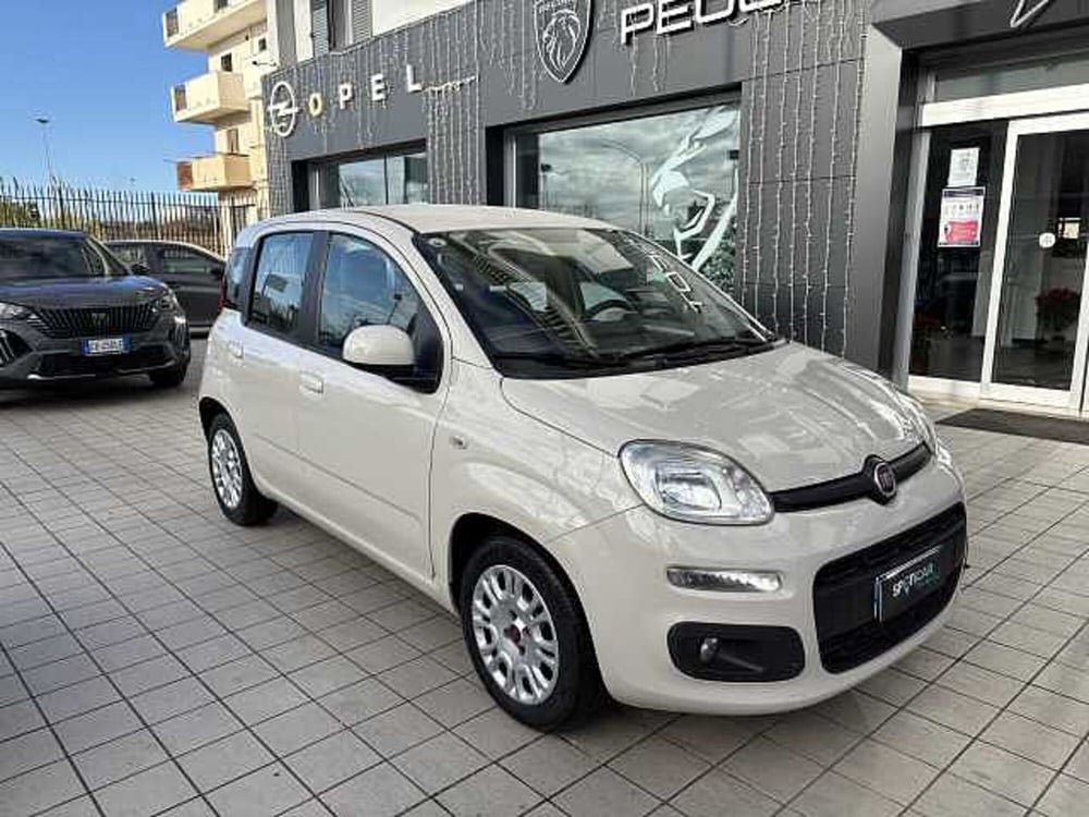 Fiat Panda usata a Vibo Valentia (3)