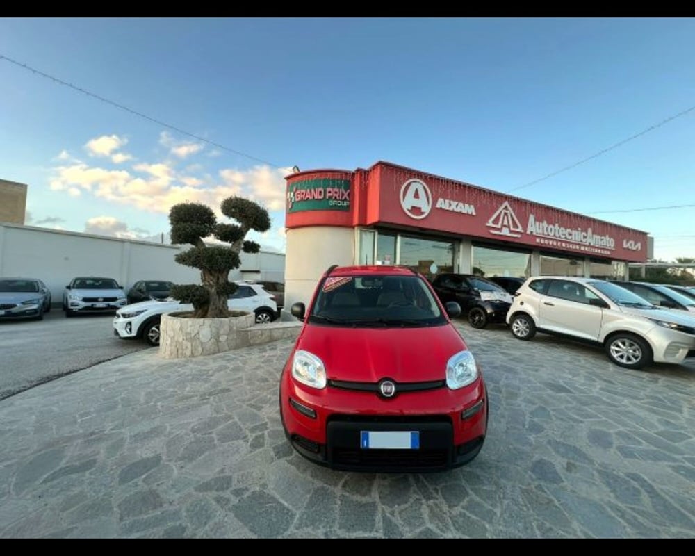 Fiat Panda usata a Bologna