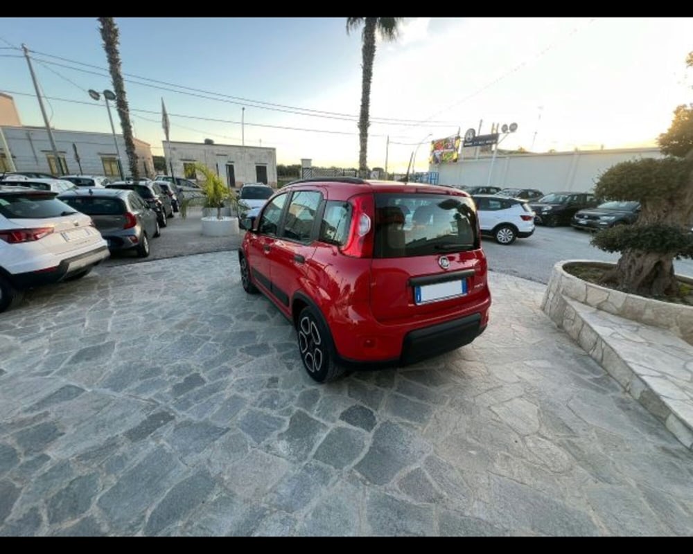 Fiat Panda usata a Bologna (4)