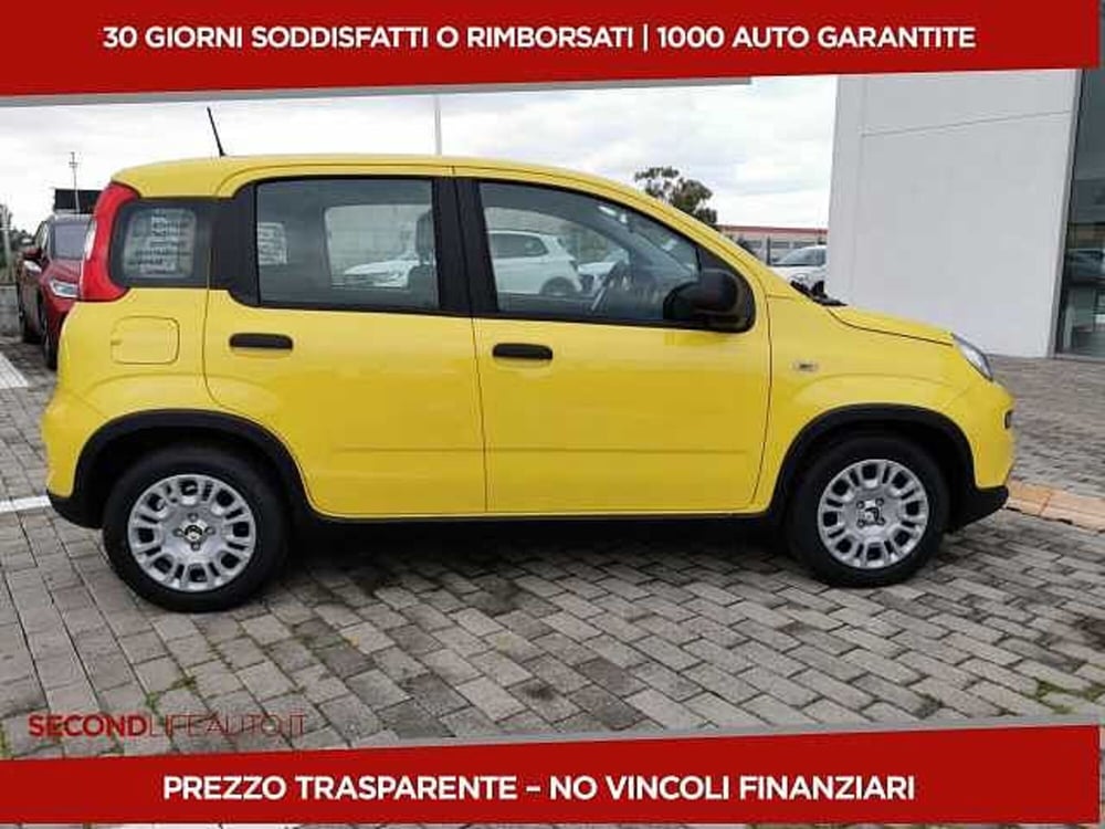 Fiat Panda nuova a Chieti (18)