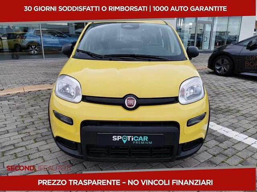 Fiat Panda nuova a Chieti (2)