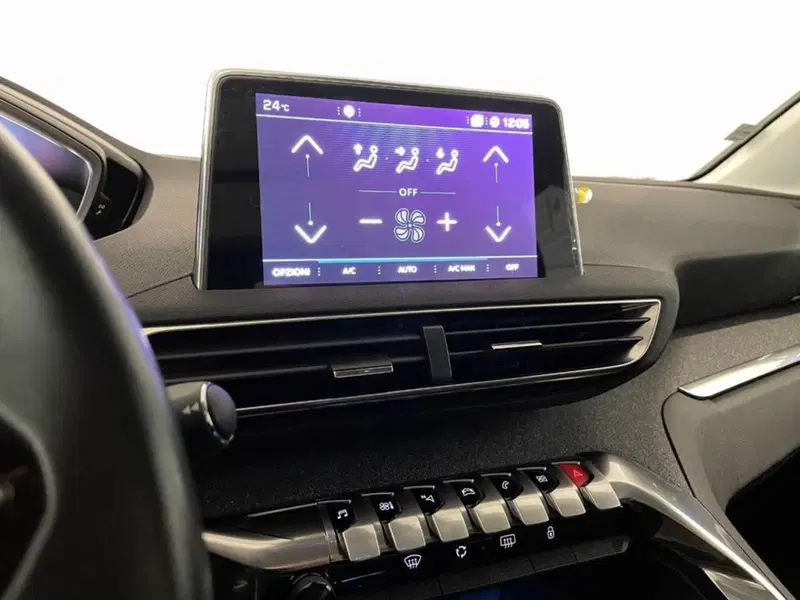 Peugeot 3008 usata a Torino (9)